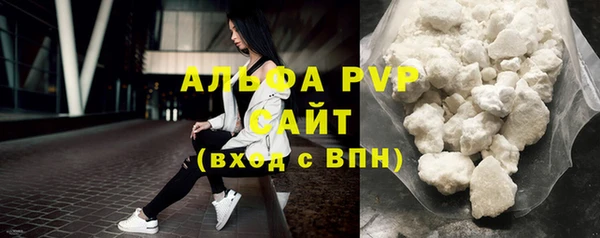 прущие грибы Протвино