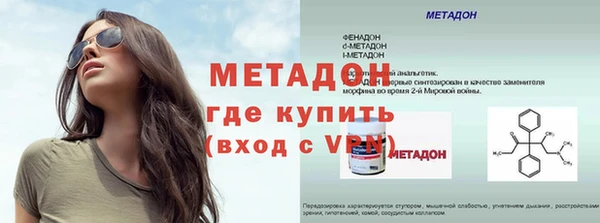 прущие грибы Протвино