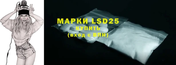 прущие грибы Протвино