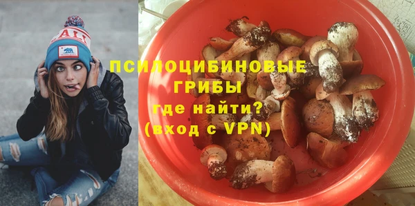 гашик Пролетарск