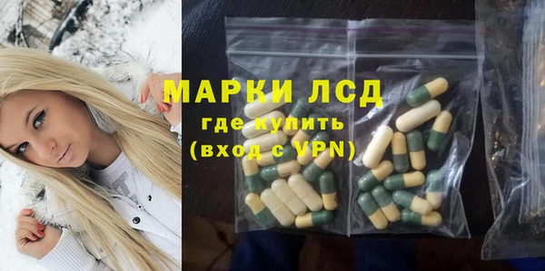прущие грибы Протвино