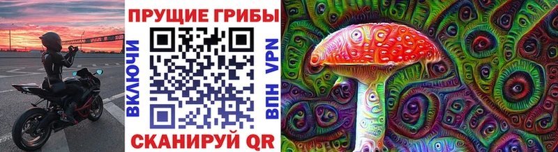 mega маркетплейс  купить  сайты  Тимашёвск  Галлюциногенные грибы Psilocybe 